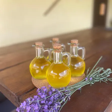 Kuca Na Selu “anna” 度假居 *