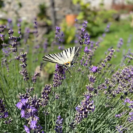 度假居 Kuca Na Selu “anna” *