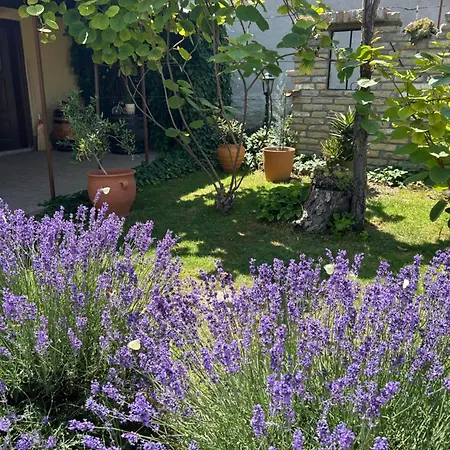 Kuca Na Selu “anna” Feketić